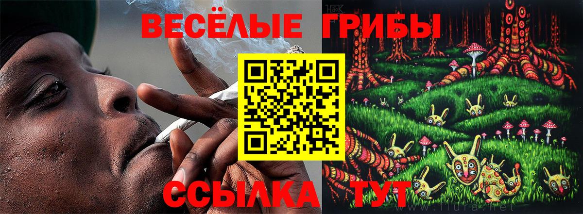 Ульяновск  Псилоцибиновые грибы Psilocybe  где найти наркотики  Вход с VPN  Галлюциногенные грибы Psilocybine cubensis 